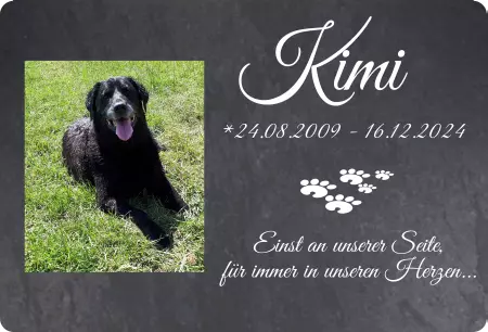 Hunde Vorsicht Warnschild Zutritt verbotenHunde Kimi Bild