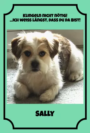 Hunde Vorsicht Warnschild Zutritt verbotenHunde Klingeln nicht nötig! Bild