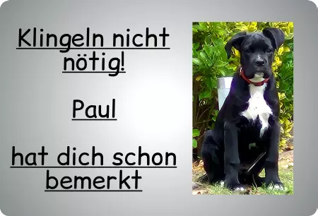 Hunde Vorsicht Warnschild Zutritt verbotenHunde Klingeln nicht nötig! Bild