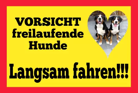 Hunde Vorsicht Warnschild Zutritt verboten Hunde Langsam fahren - Hunde Bild