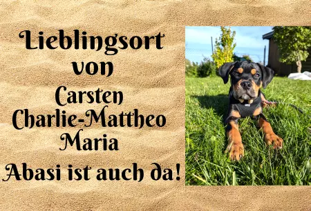 Hunde Vorsicht Warnschild Zutritt verbotenHunde Lieblingsort Bild