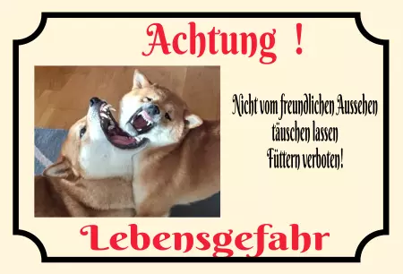 Hunde Vorsicht Warnschild Zutritt verboten Hunde Nicht täuschen lassen! Bild