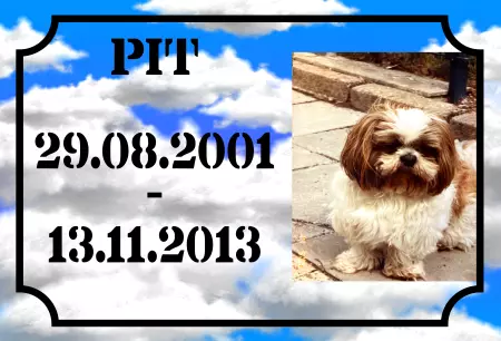 Hunde Vorsicht Warnschild Zutritt verbotenHunde PIT Bild