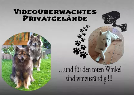 Hunde Vorsicht Warnschild Zutritt verboten Hunde PRIVATGELÄNDE Bild