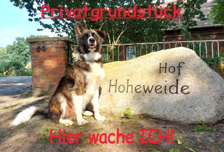 Hunde Vorsicht Warnschild Zutritt verboten Hunde Privatgrundstück Bild