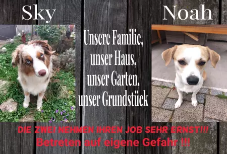 Hunde Vorsicht Warnschild Zutritt verbotenHunde Sky & Noah Bild