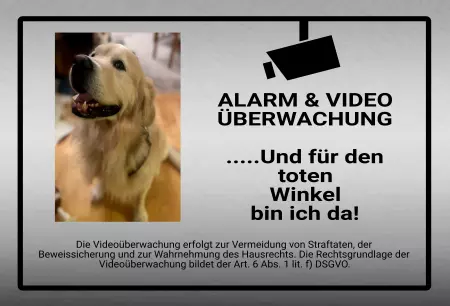 Hunde Vorsicht Warnschild Zutritt verbotenHunde ... und für den toten Winkel bin ich da! Bild