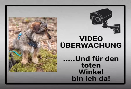 Hunde Vorsicht Warnschild Zutritt verbotenHunde Video Überwachung Bild