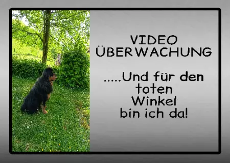 Hunde Vorsicht Warnschild Zutritt verbotenHunde VIDEO ÜBERWACHUNG ... Bild