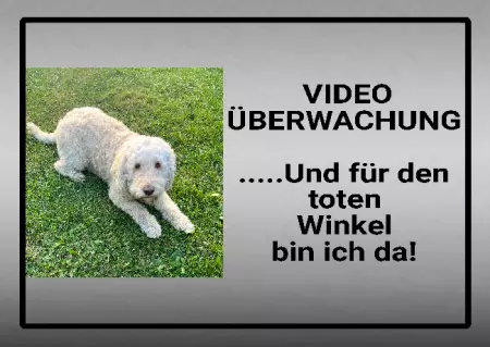 Hunde Vorsicht Warnschild Zutritt verboten Hunde VIDEO ÜBERWACHUNG Bild