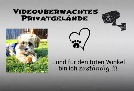 Hunde Vorsicht Warnschild Zutritt verboten Hunde Videoüberwachtes Privatgelände Bild