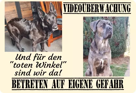 Hunde Vorsicht Warnschild Zutritt verbotenHunde Videoüberwachung, und für den 