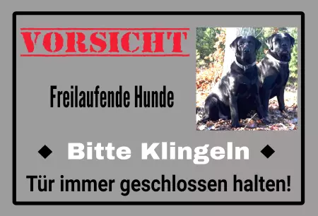 Hunde Vorsicht Warnschild Zutritt verboten Hunde VORISCHT  - Bitte klingeln Bild