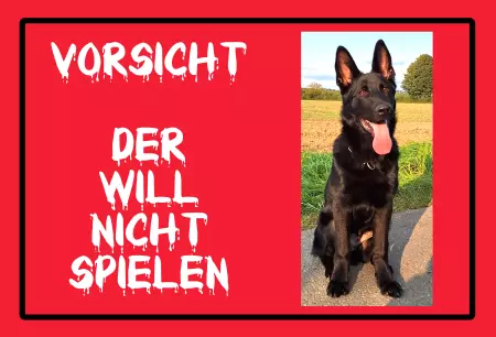 Hunde Vorsicht Warnschild Zutritt verboten Hunde VORSICHT - Der will nicht spielen Bild