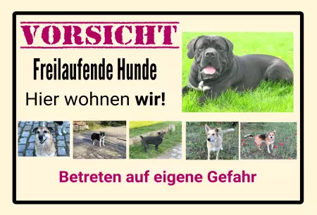 Hunde Vorsicht Warnschild Zutritt verboten Hunde VORSICHT Freilaufender Hund Bild