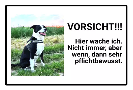 Hunde Vorsicht Warnschild Zutritt verbotenHunde VORSICHT!  Hier wache ich. Nicht immer, aber ... Bild