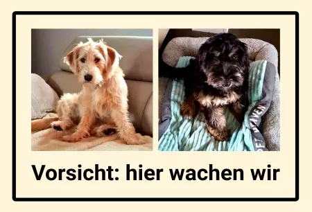 Hunde Vorsicht Warnschild Zutritt verbotenHunde Vorsicht: hier wachen wir Bild
