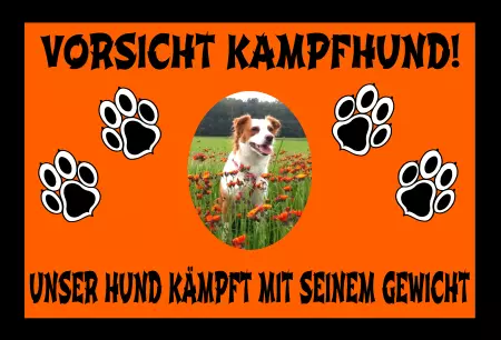 Hunde Vorsicht Warnschild Zutritt verbotenHunde Vorsicht Kampfhund! Bild