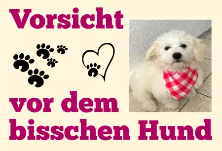 Hunde Vorsicht Warnschild Zutritt verboten Hunde Vorsicht vor dem bisschen Hund Bild