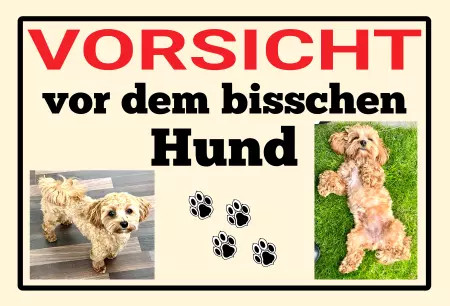 Hunde Vorsicht Warnschild Zutritt verboten Hunde VORSICHT vor dem bisschen Hund Bild