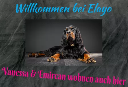 Hunde Vorsicht Warnschild Zutritt verbotenHunde Willkommen bei Elago Bild