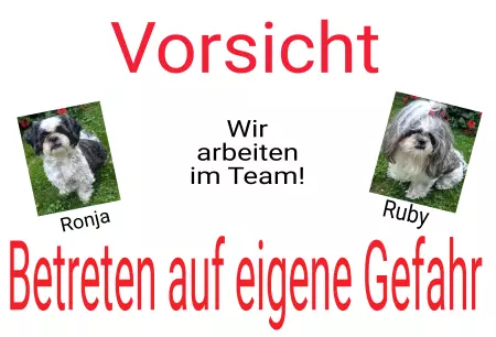 Hunde Vorsicht Warnschild Zutritt verboten Hunde Wir arbeiten im Team! Bild