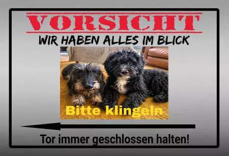 Hunde Vorsicht Warnschild Zutritt verbotenHunde Wir haben alles im Blick Bild